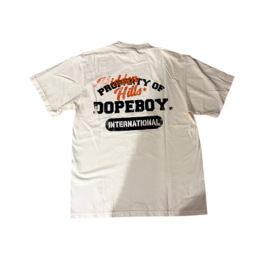 Hidden hills property of dopeboy