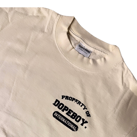 Hidden hills property of dopeboy